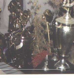 Gold cup we won